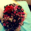user3681401531328