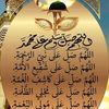 user78430705657452