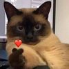 annarivera_s