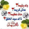 userzq4dr3mlf6