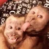 babykahzinho