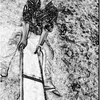 pelangihidup786