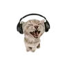 fandechiquiibai