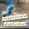user7395250623432