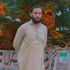 gul.gul3905