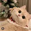 thaomyney