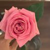 roqianasser765