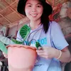 bounlaiyzayavong