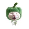 ankphyo3