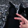 arung9919