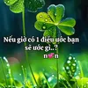user17e4wqp7dy
