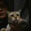 uwuxx.1