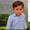 malikanwarkhichi268