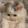 call.me.maiphuong