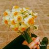 nargiz_821