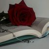 jana8_jo