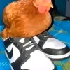 wiki_vv