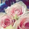 hearts4amaaaa
