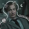 remylupin12