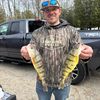 mireelfishing