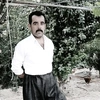 sarwatjalal