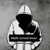 malik.junaid.awan31