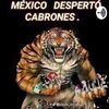 un_soldado_caido765