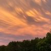 austindccountry369