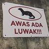 ttadiity_prtm