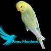 avezmontero