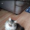 nancyfrizzell7