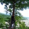 umesh_carkey07
