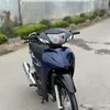 ducnin2