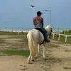 dzeomadee95