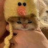 unuknowtaikhidung