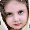 zslef3bdy6