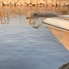 tareq0532