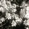 usera3w94l02dv