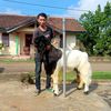 Firman Farm07
