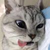 flafloowee