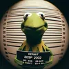 kermitthefrog970