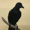 momento_morrigan