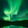 nature__db