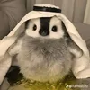 biuenp
