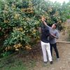 hermansyah5586
