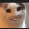 renattaferreura__