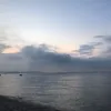 vinstoxic1