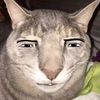 notadam215