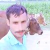marfan903