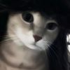 Tanucing